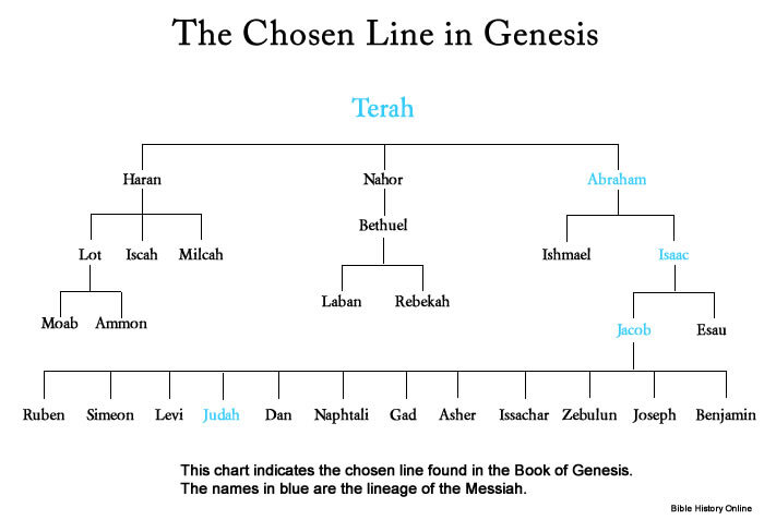 Genesis Lineage Chart