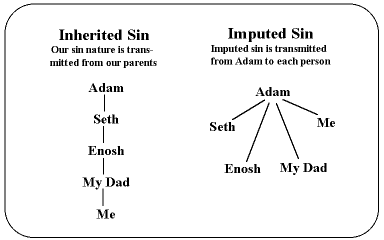 comparison between inherited adn imputed sin